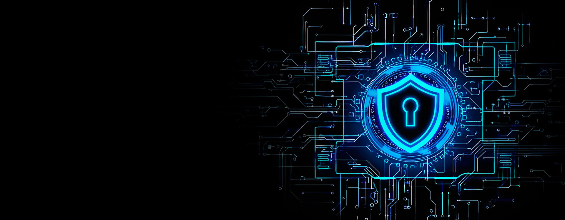 Advanced Secure Encryption Protection